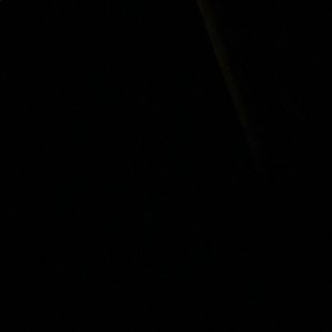 Meet your Posher, Daija